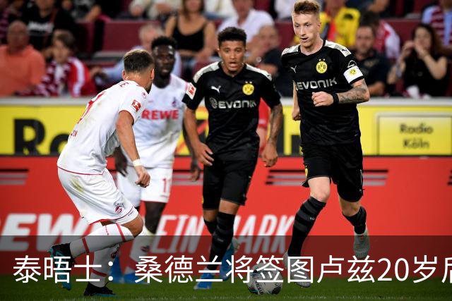 泰晤士：桑德兰将签图卢兹20岁后卫梅塔利 转会费最高达3000万镑